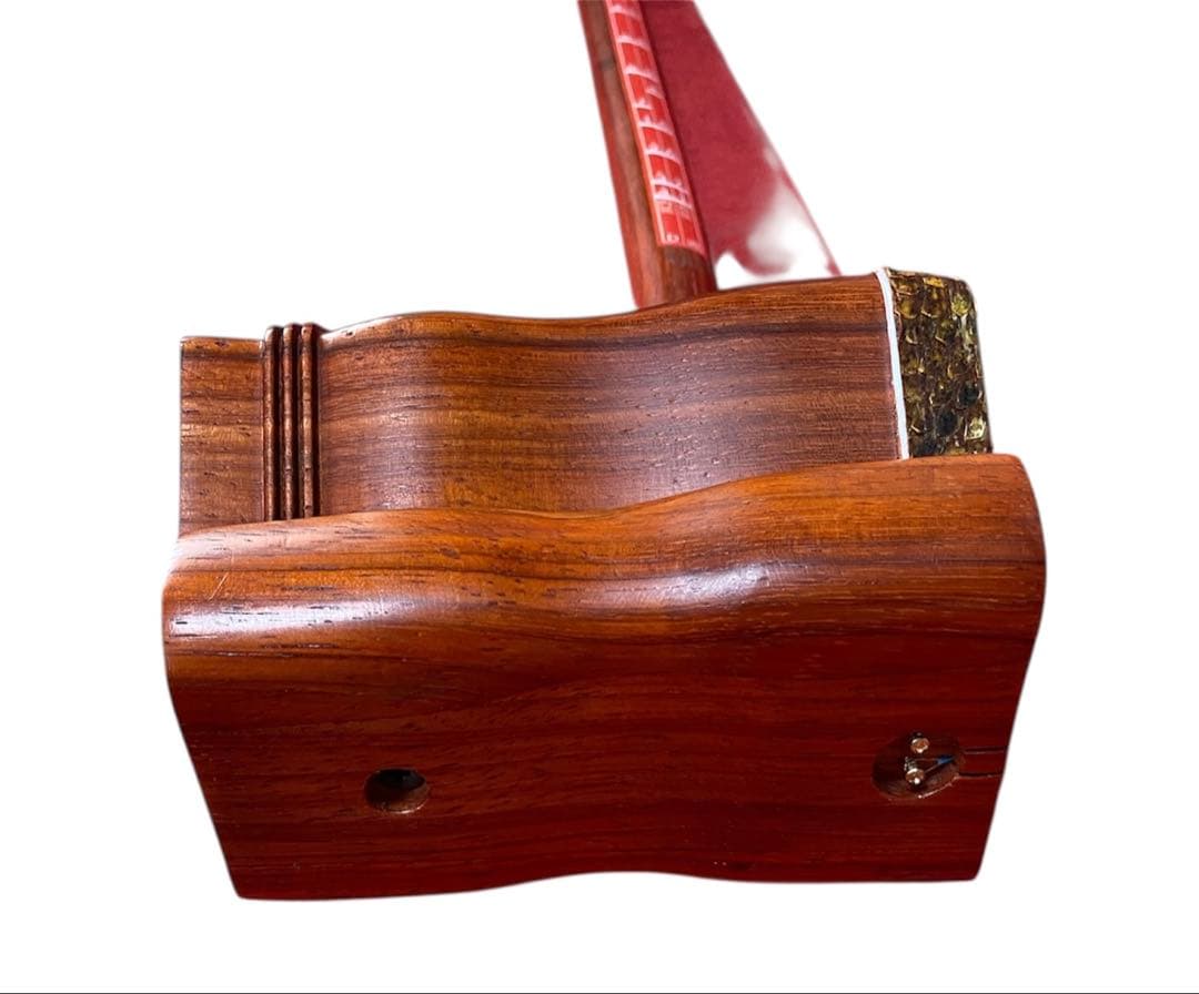 二胡 紅木 蛇皮 セミハードケースセット