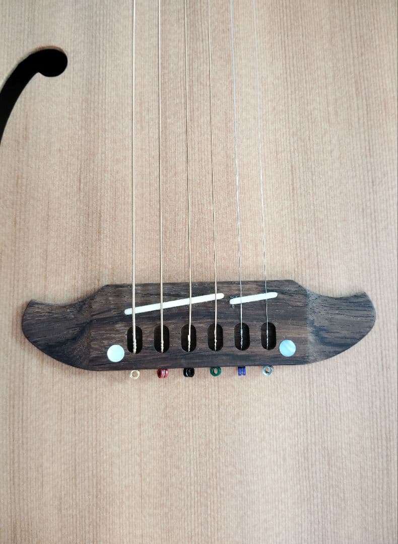 シェクター エレアコ OL-FL ナチュラル テレキャスタイプ SCHECTER