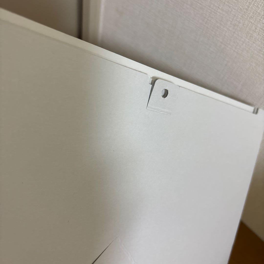 欅坂46 藤吉夏鈴 ベストアルバム アナログ盤 直筆サイン 生写真 櫻坂