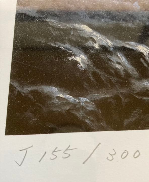 アンソニー・キャセイ「ハワイアンシルエット」 - メルカリ