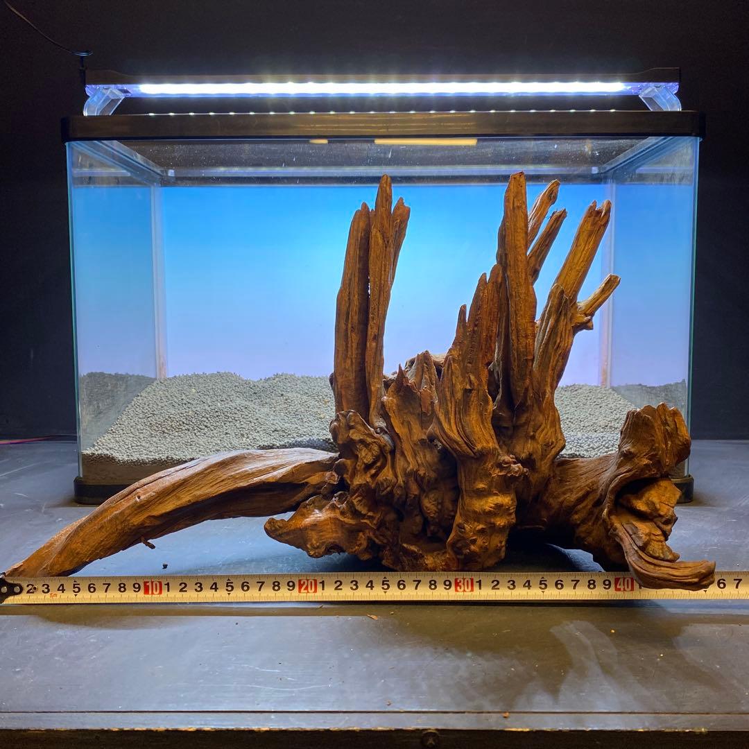 MRW-5822 赤系天然流木 自立流木 1点物 流木 アクアリウム