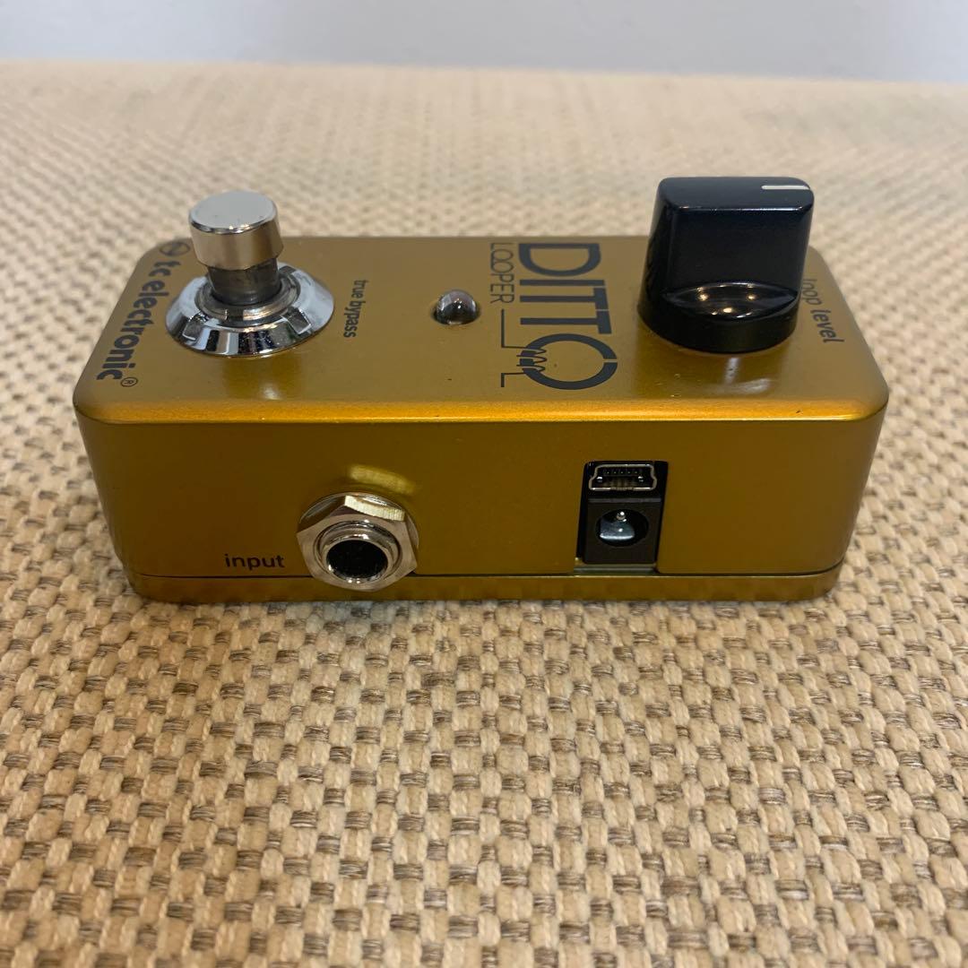 tc electronic / DITTO LOOPER 限定ゴールド
