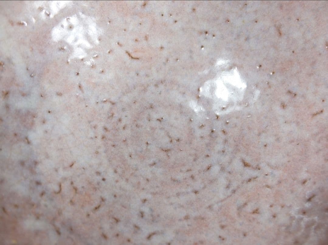 真作保証 波多野善蔵 自作 指月窯 コレクター放出品 佐賀 山口 - メルカリ