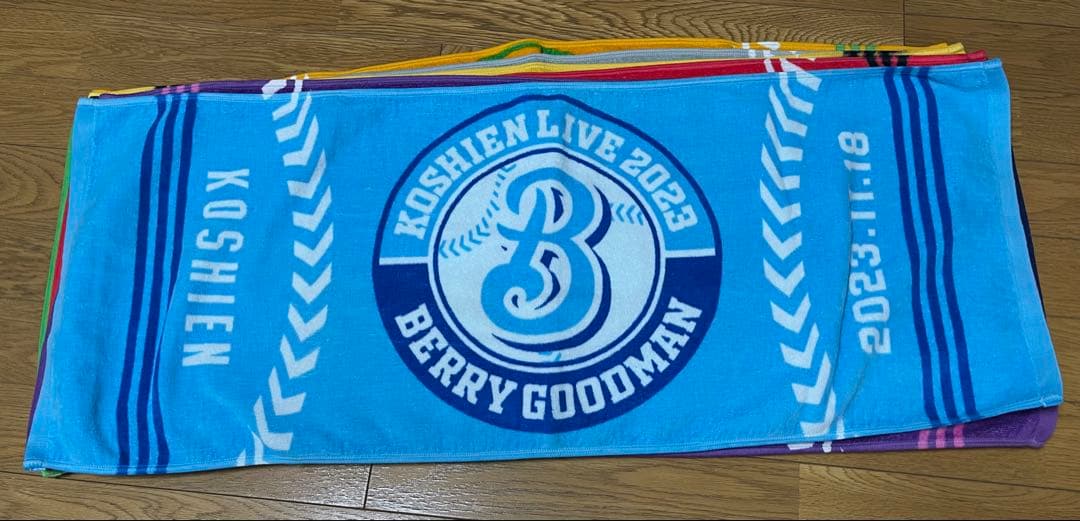 BERRY GOODMAN ベリーグッドマン ツアーグッズ タオル甲子園 17枚