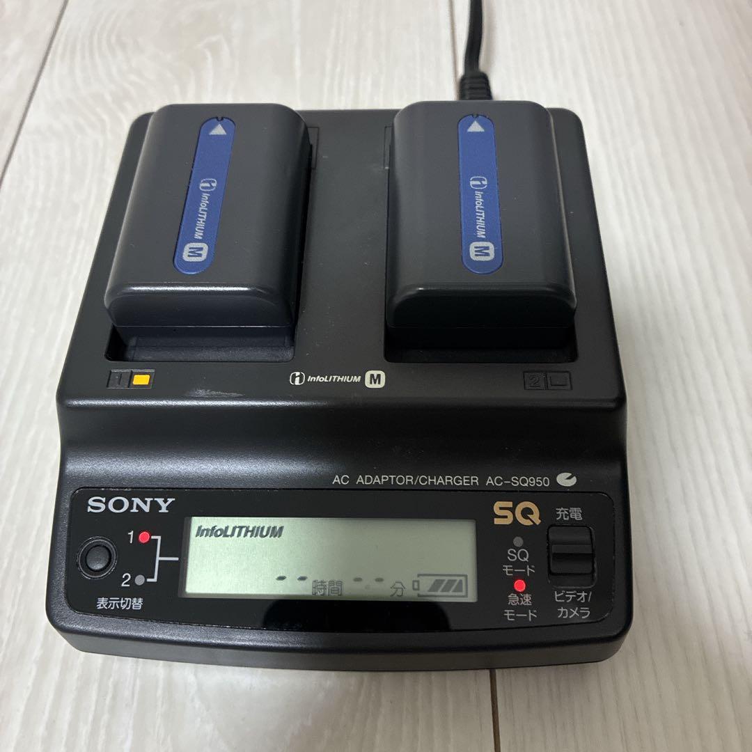 SONY ビデオカメラ DCR-PC9