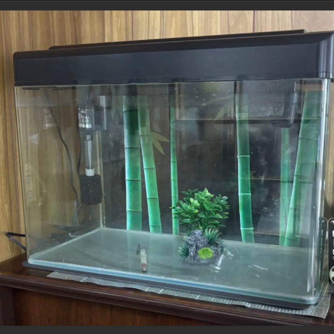 専用 ⚫︎GEX ガラス水槽 セット フィルター バラ売り可