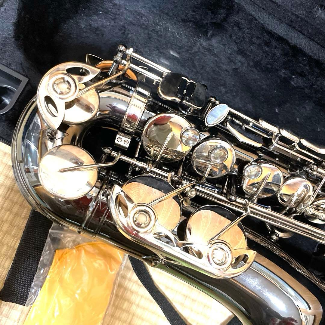 SHUNTIAN アルトサックス　楽器　ケース　マウスピース