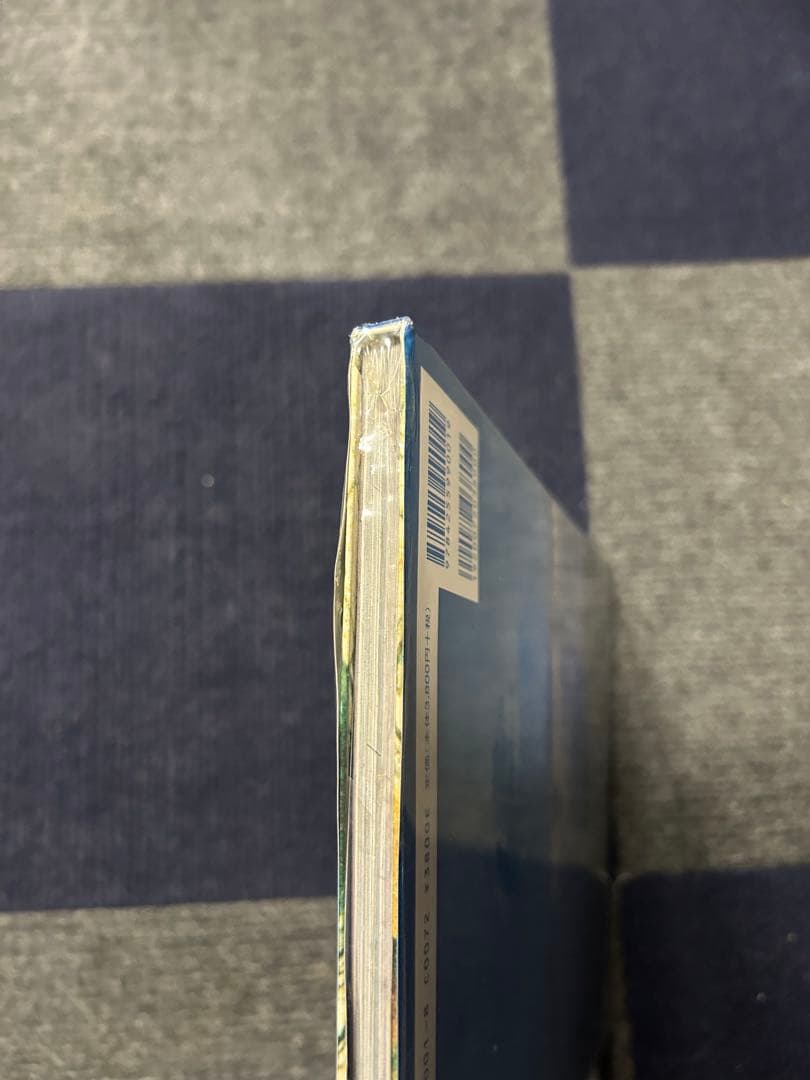 写真集　waste by south model H,KOJIMA