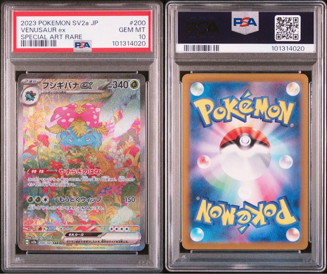 【PSA10 9連番】御三家 進化ライン 9枚セット②