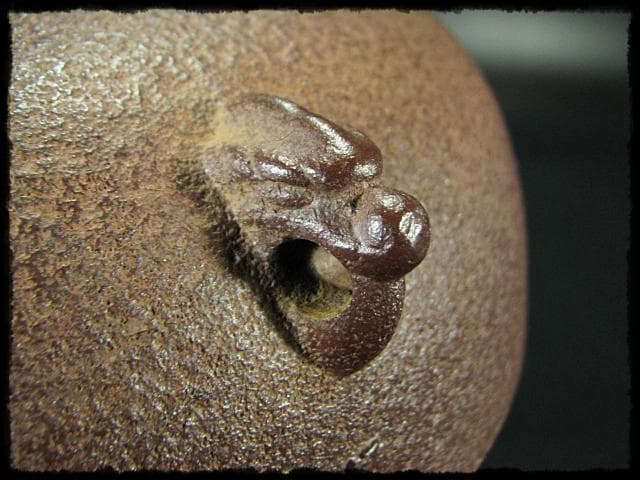 Timmy427！裏甲釜 裏鏊 裏合 佐藤 浄清 共箱 f282