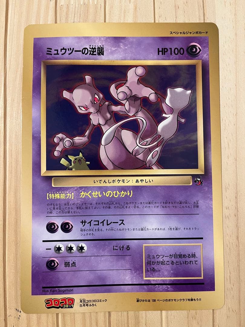 松村景文筆 雁双幅図 絹本彩色画 右（飛雁）左（川柳雁） 松村