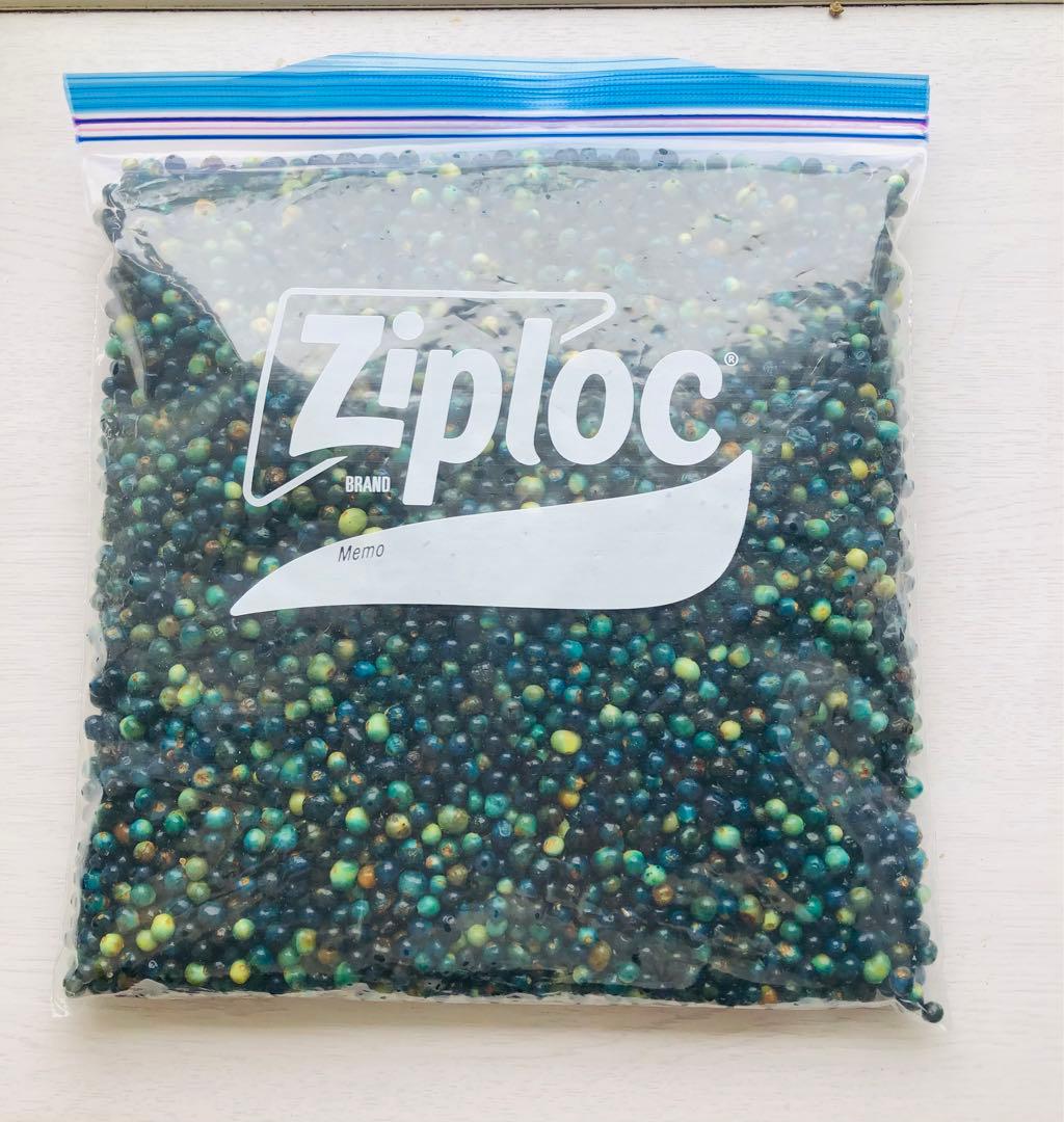 クサギの実　草木染め　1,008g