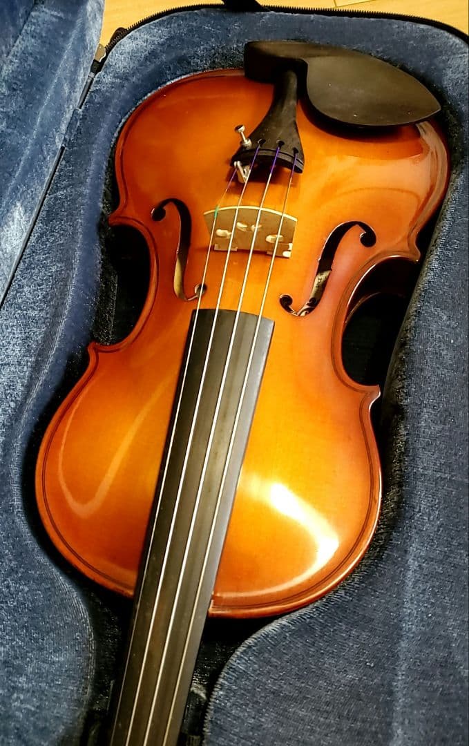 カルロジョルダーノ ヴァイオリン VS-2 4/4 ケース、弓、松脂セット