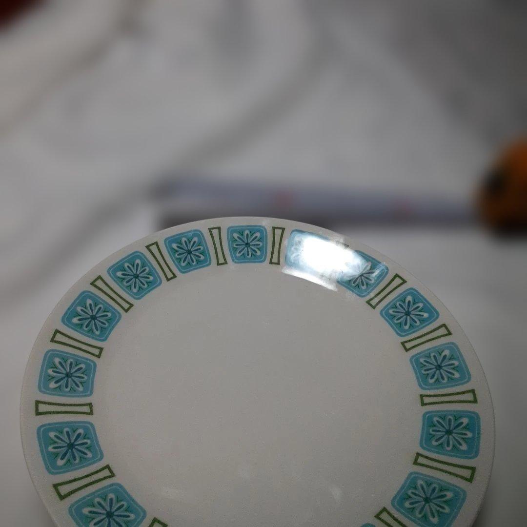 Style House Nordic アイアンストーン プレート ロックガーデンで