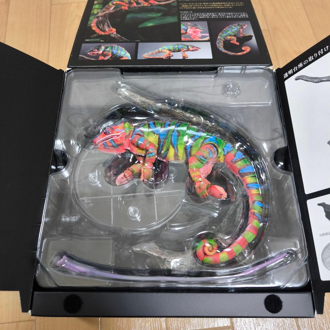 いきもの大図鑑プレミアム パンサーカメレオン（アンビローブ・グリーン）