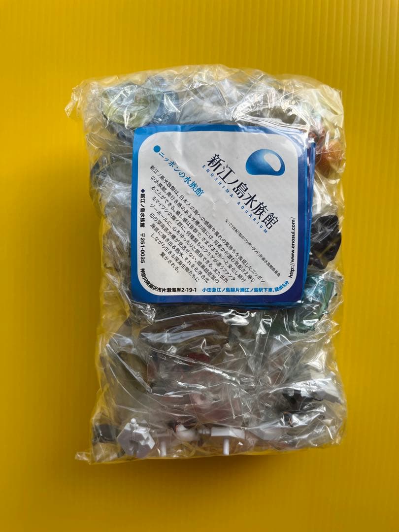 秋の収穫祭】日本水族館立体生物図録 第2巻〈全15種〉フル