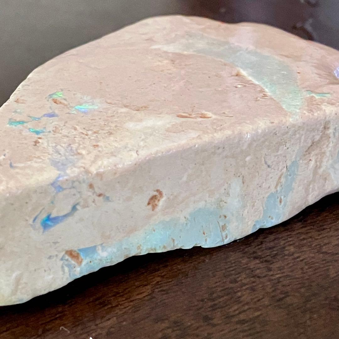 プレシオサウルスのヒレ骨 オパール 化石 標本 オーストラリア