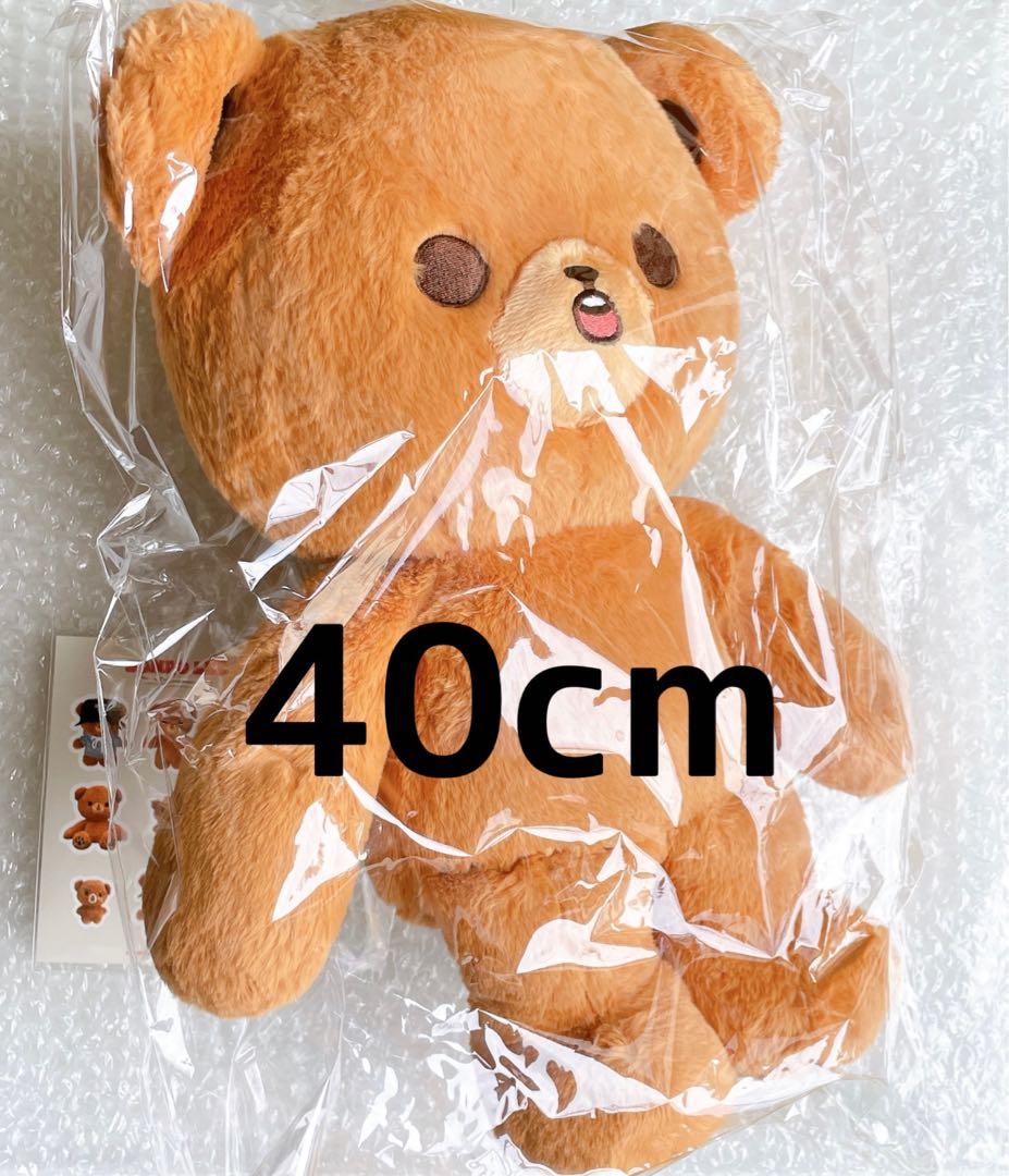 ヘチャンぬいぐるみ40cm マスターNCT DREAM 人形ワンヒョギ
