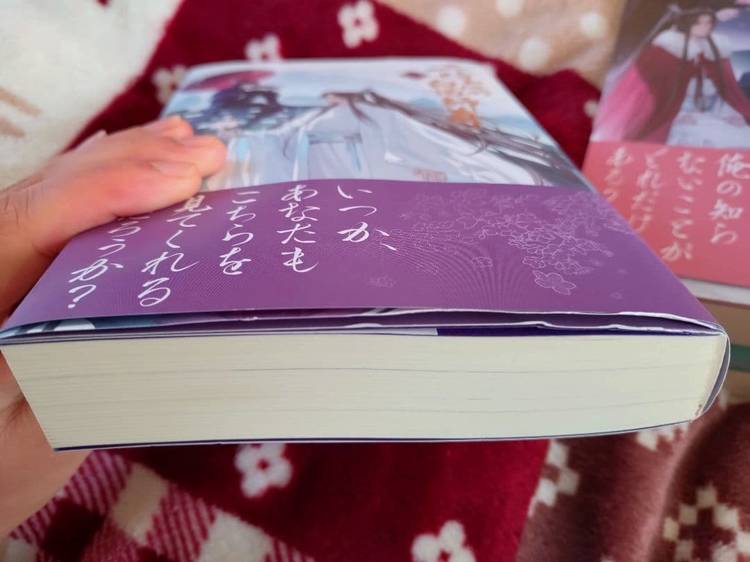 二哈和他的白猫師尊日本語版特装版小冊子