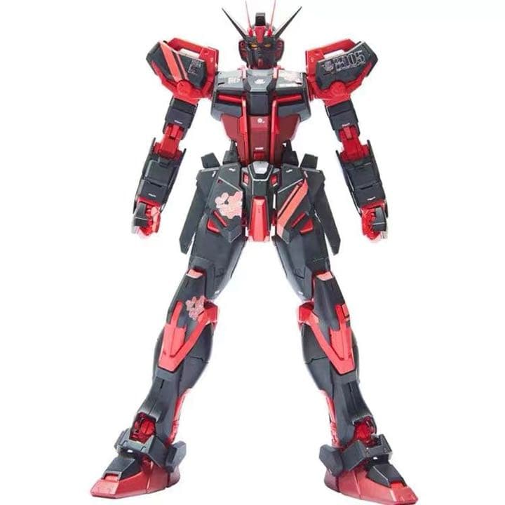 MG 1/100 エールストライクガンダム Ver.RM 全装備型 中国限定
