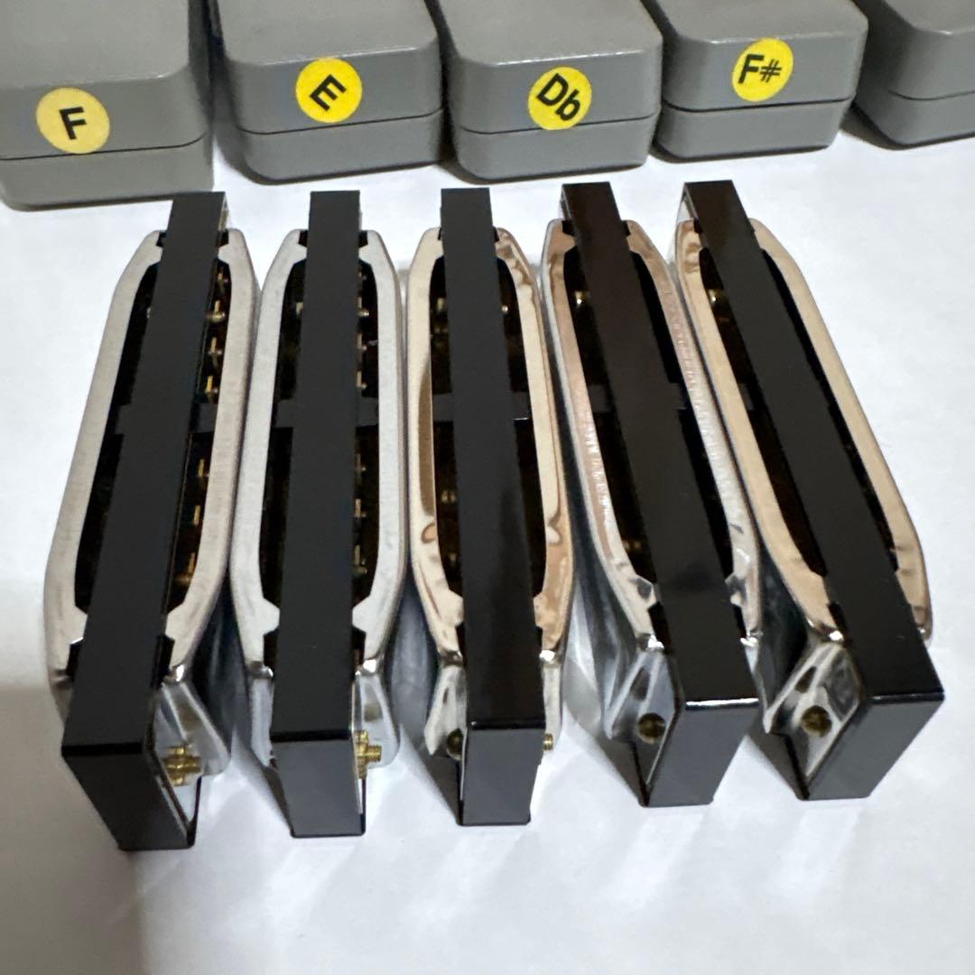 HOHNER ホーナー　Special20 ハーモニカ B F F♯ E D♭