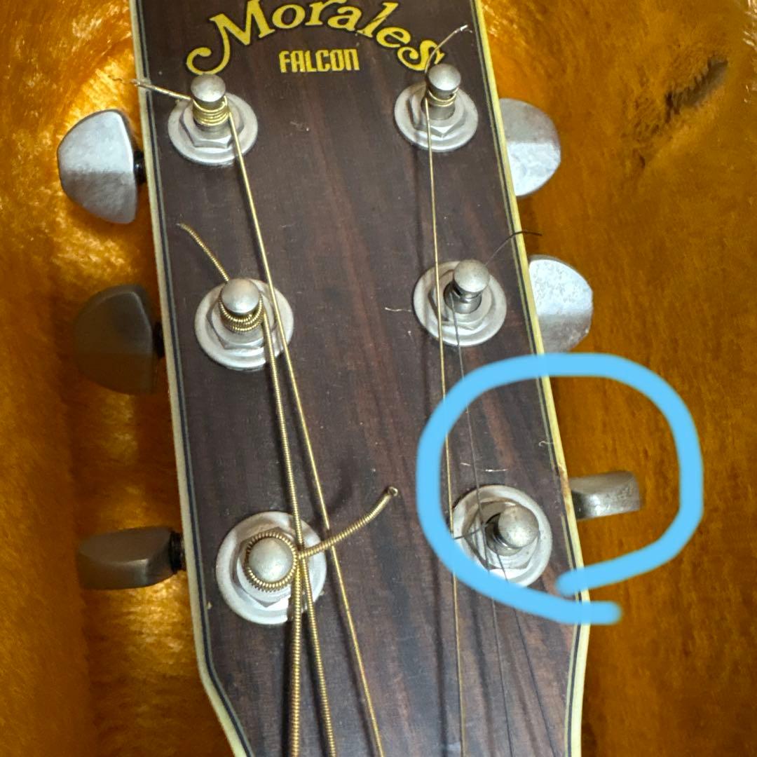 Morales FALCON MW300アコースティックギター ケース付き