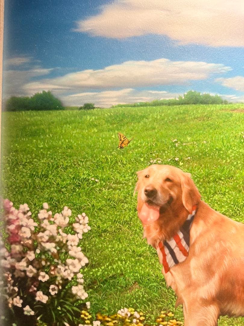 スーパーリアリズムK・TAKAMATSU《ほわわ〜ん》　肉筆油彩画