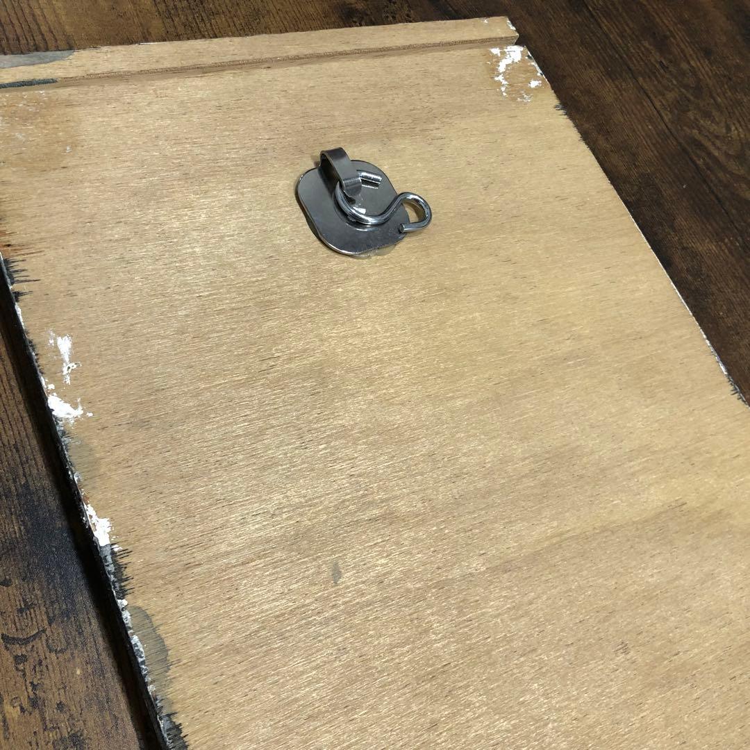 『片瞑り』~ Carabus blaptoides~