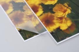 河合奈保子120 特大A4サイズ ラミネート加工防水 昭和写真 アイドル