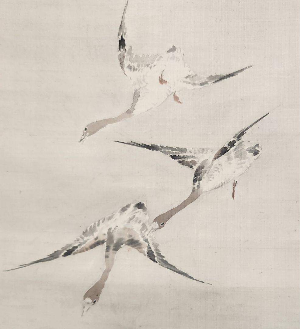 芦雁図】喜田華堂 2616 蘆に雁 掛け軸 肉筆 - メルカリ