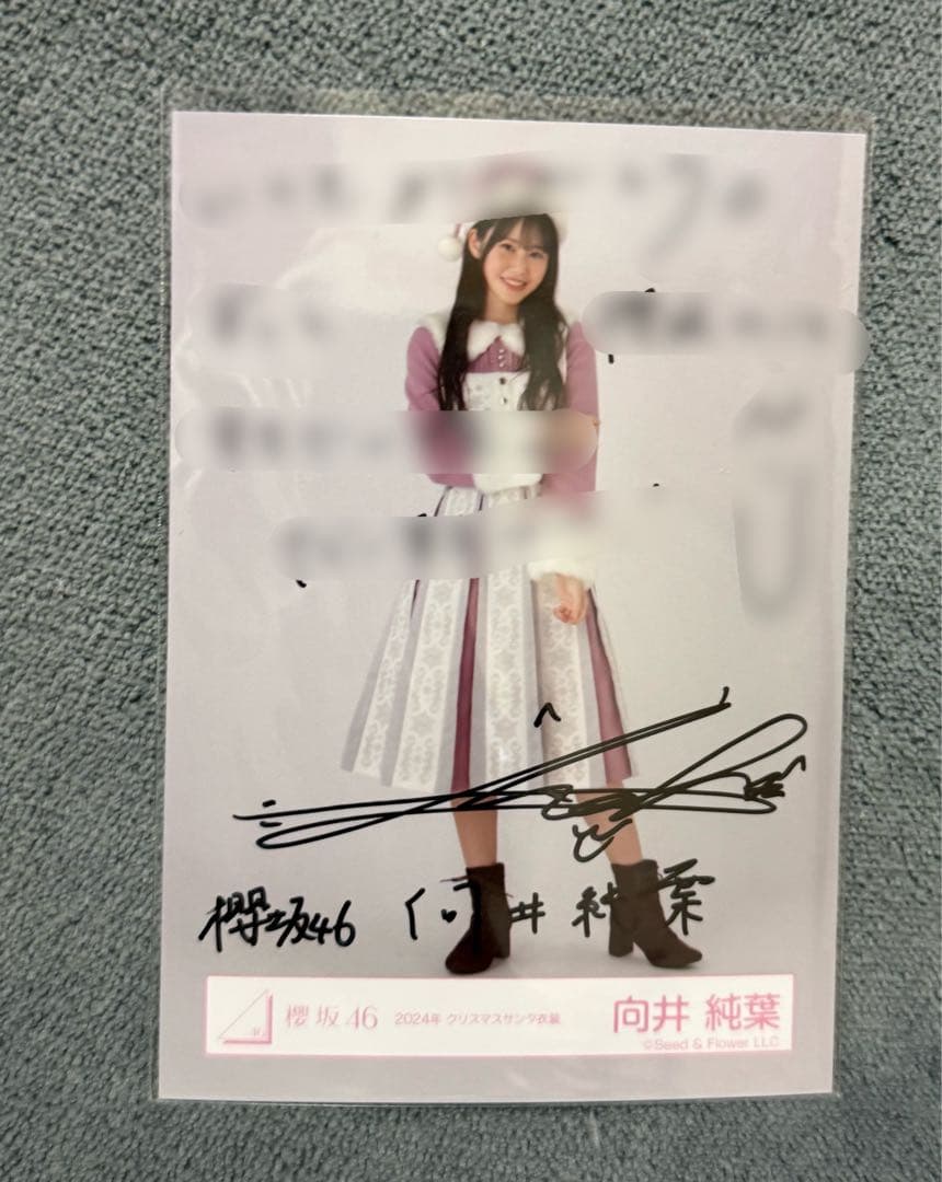 櫻坂46 向井純葉 直筆サイン 生写真 2024年 クリスマスサンタ衣装