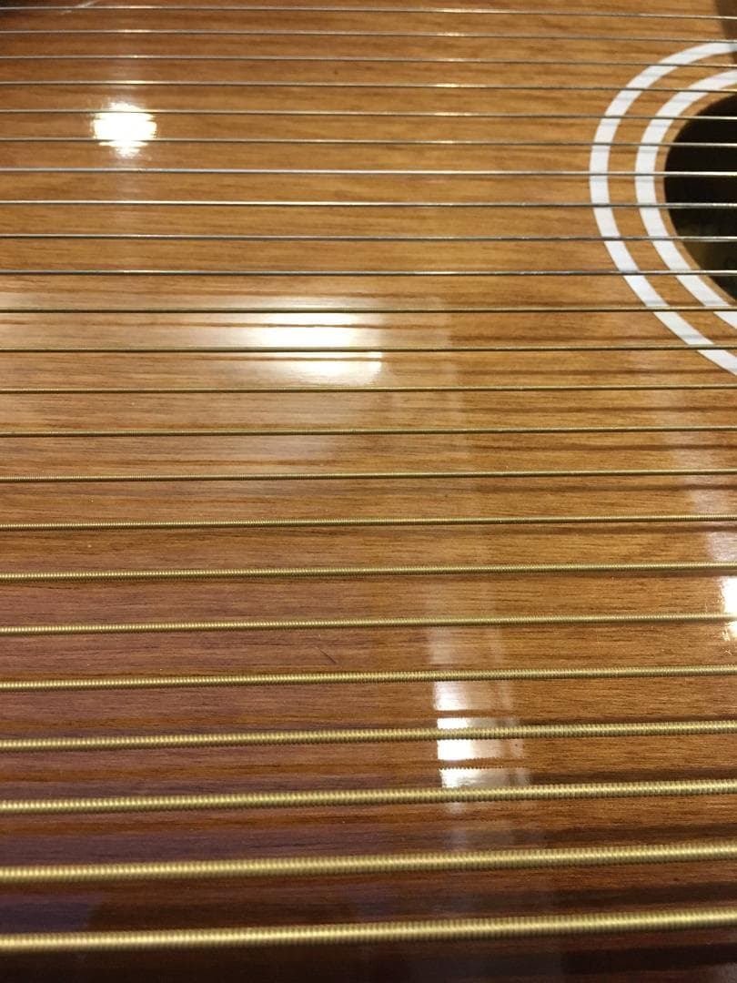 アリア コードハープ ACH-21E