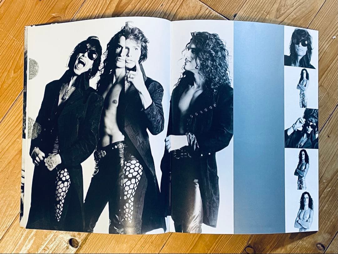 エアロスミスGET A GRIP TOUR 来日公式ツアーパンフ 美品 希少