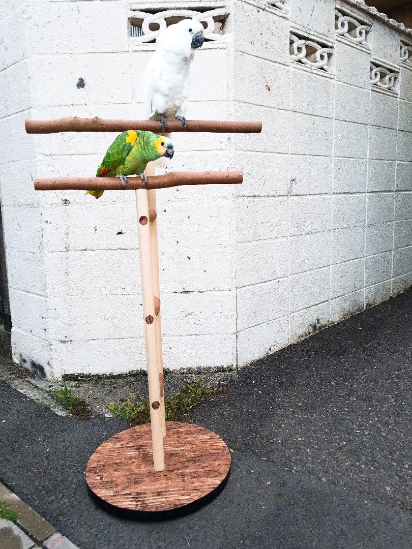 ☆オウムスタンド新作‼️見本品‼️{コメント用}❗ コレクション