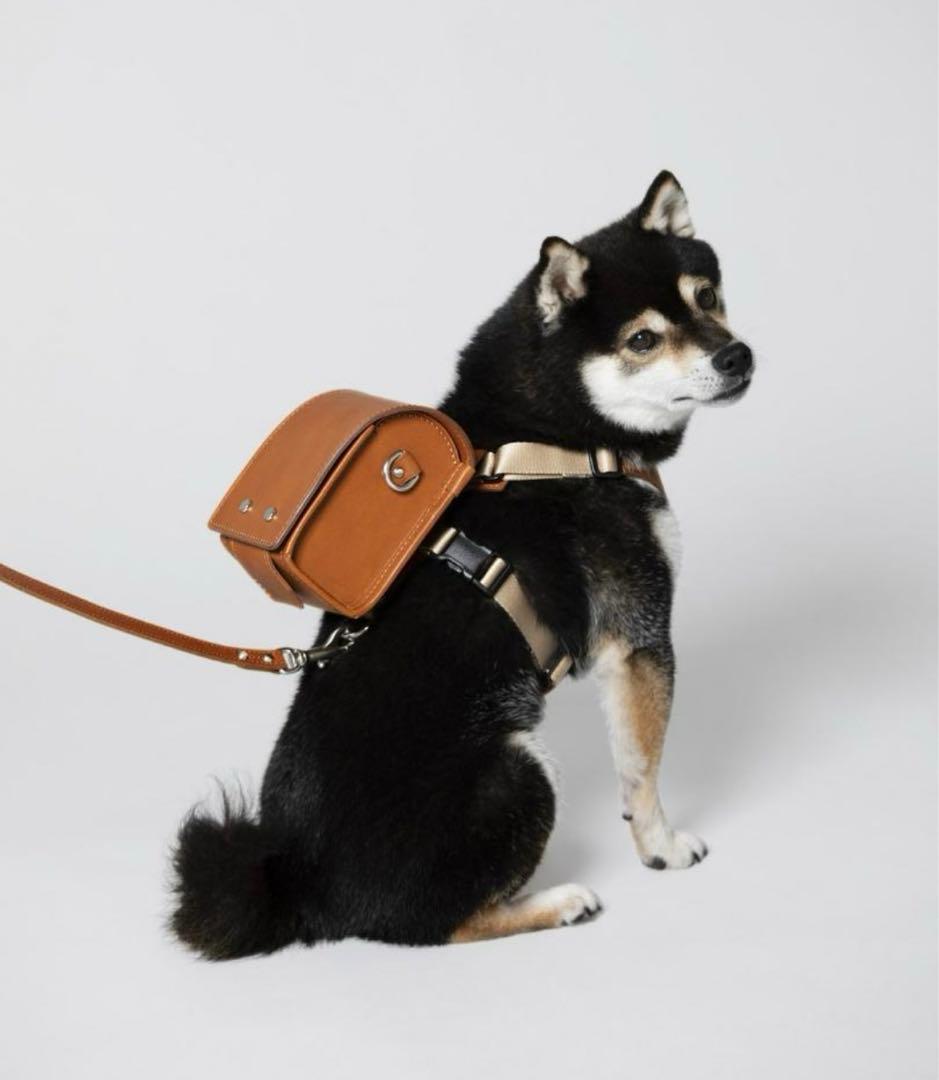 予約限定品ペットランドセル 大谷翔平選手の愛犬デコピン 土屋鞄