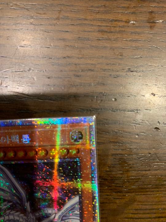 遊戯王 青眼の亜白龍 韓国版 プリシク