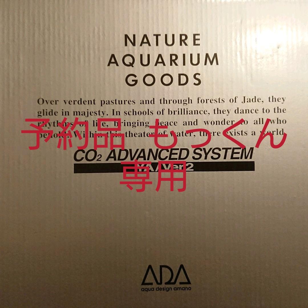 ADA CO2 ADVANCED SYSTEM YA/Ver2 フィルター・ポンプ・ろ材 ADA CO2