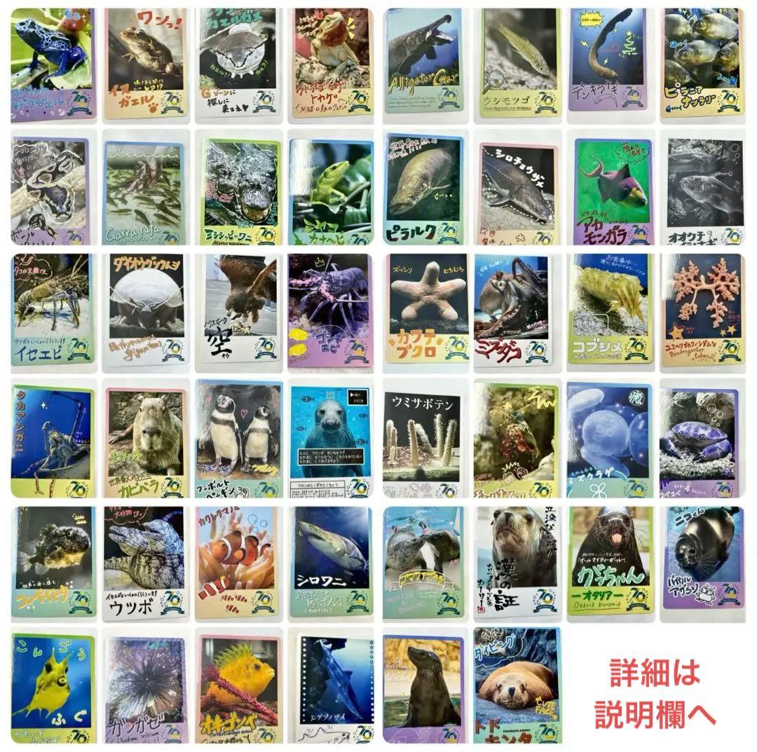 【バラ売り100円】鳥羽水族館 コレクションカード（とレカ）