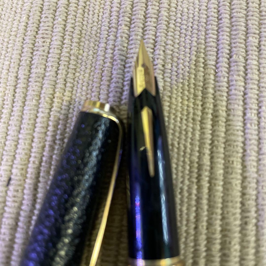 パイロット万年筆 本革製 コレクター レトロ