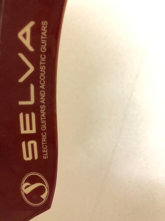 石橋楽器　エレキギター　セルバ　＋　付属品　弦など