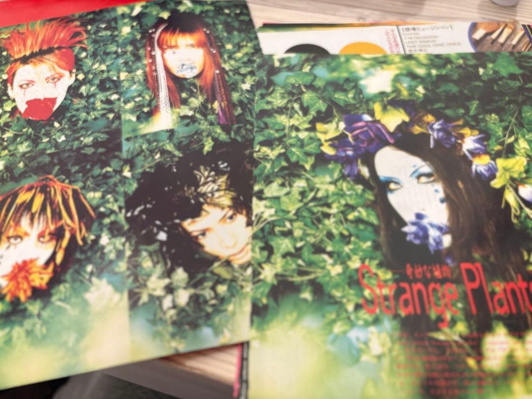 MALICE MIZER 超希少雑誌切り抜きセット　約76ページ