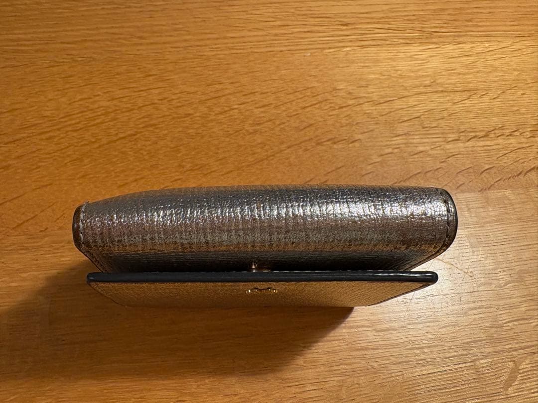 s*o様 アニヤハインドマーチ　eyes シルバー　財布