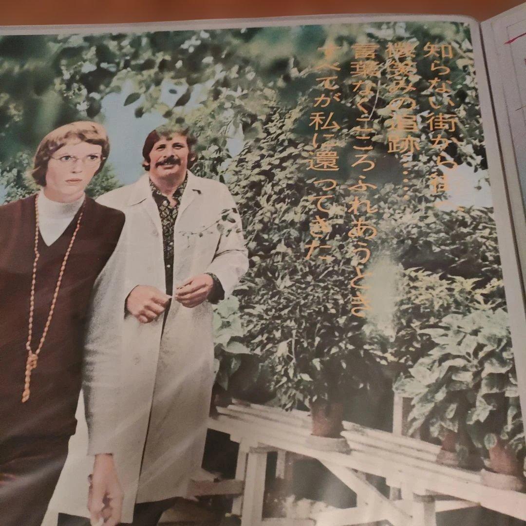 フォローミー 　日本版B2映画ポスター