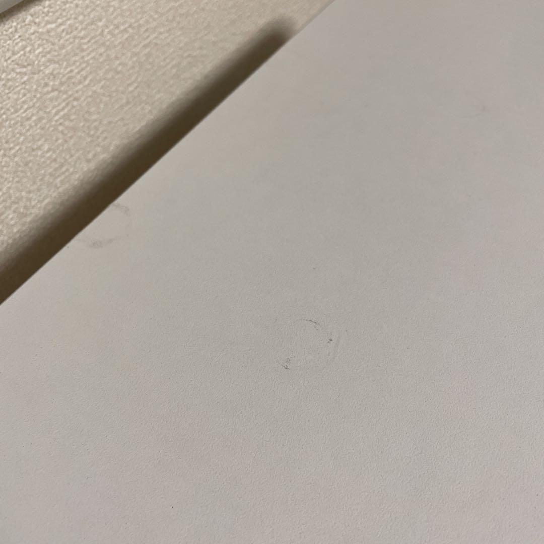 【手渡し】FLEXISPOT EG1 電動昇降デスク ホワイト