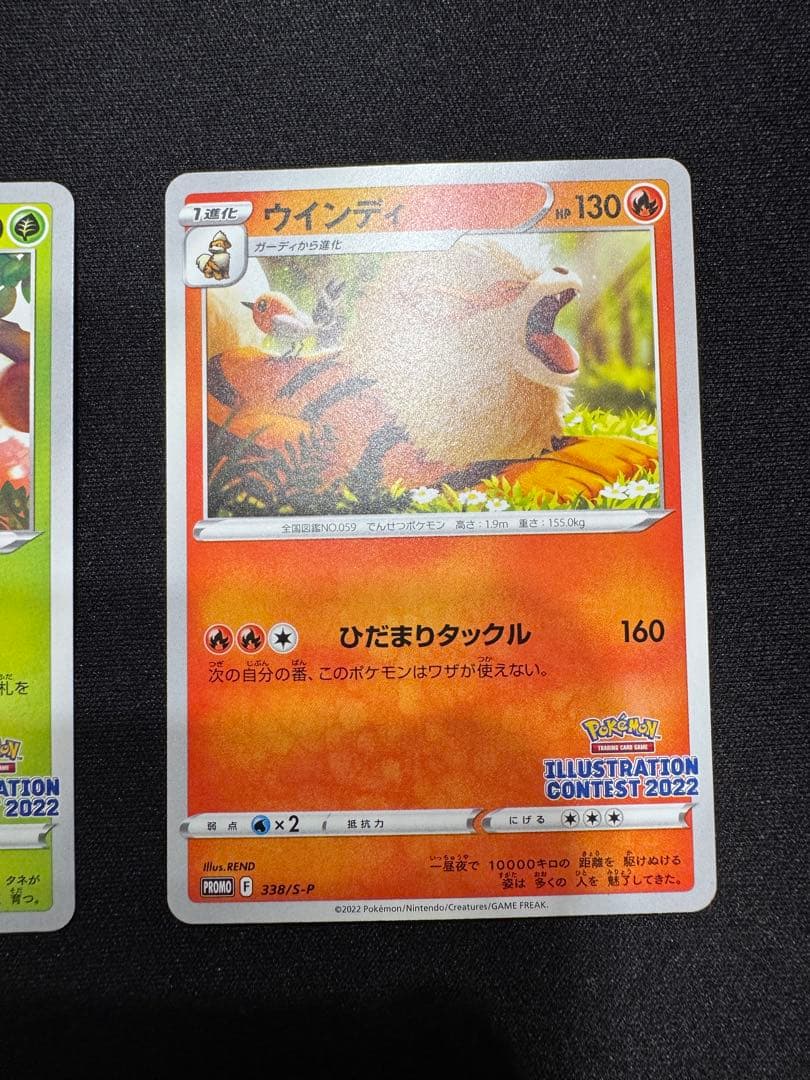 フシギダネ ウインディ 2枚セット イラストコンテスト2022 - メルカリ