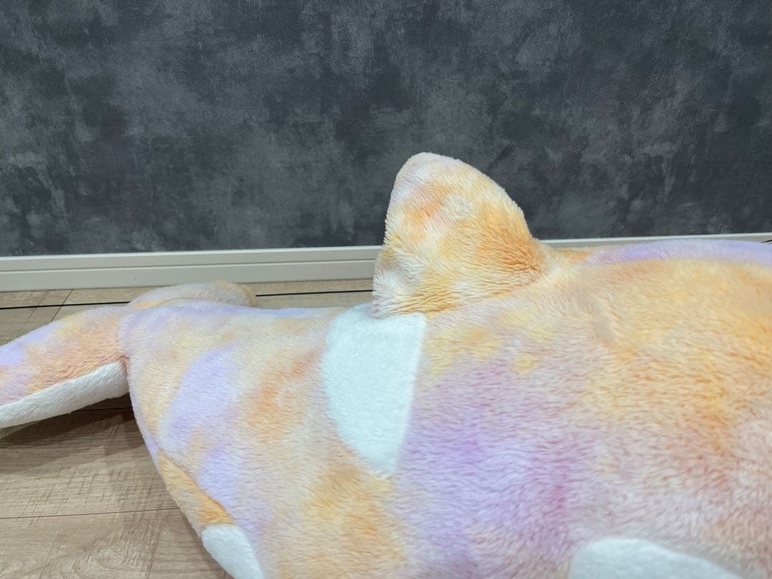 名古屋港水族館　南知多ビーチランド　スピードくじ　特賞　激レア