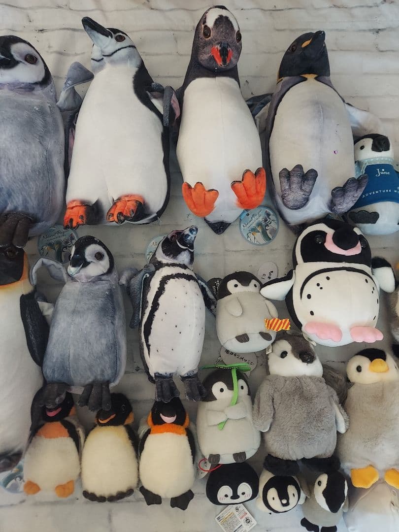 ペンギン　ぬいぐるみ　リアル　まとめ売り　セット　大量　コウペンちゃん