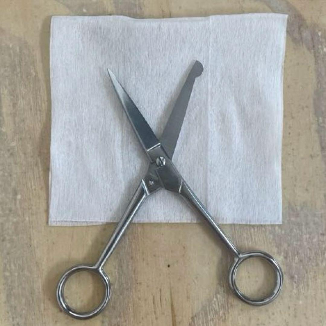 生物 昆虫採取 解剖セット 標本セット 実習キット