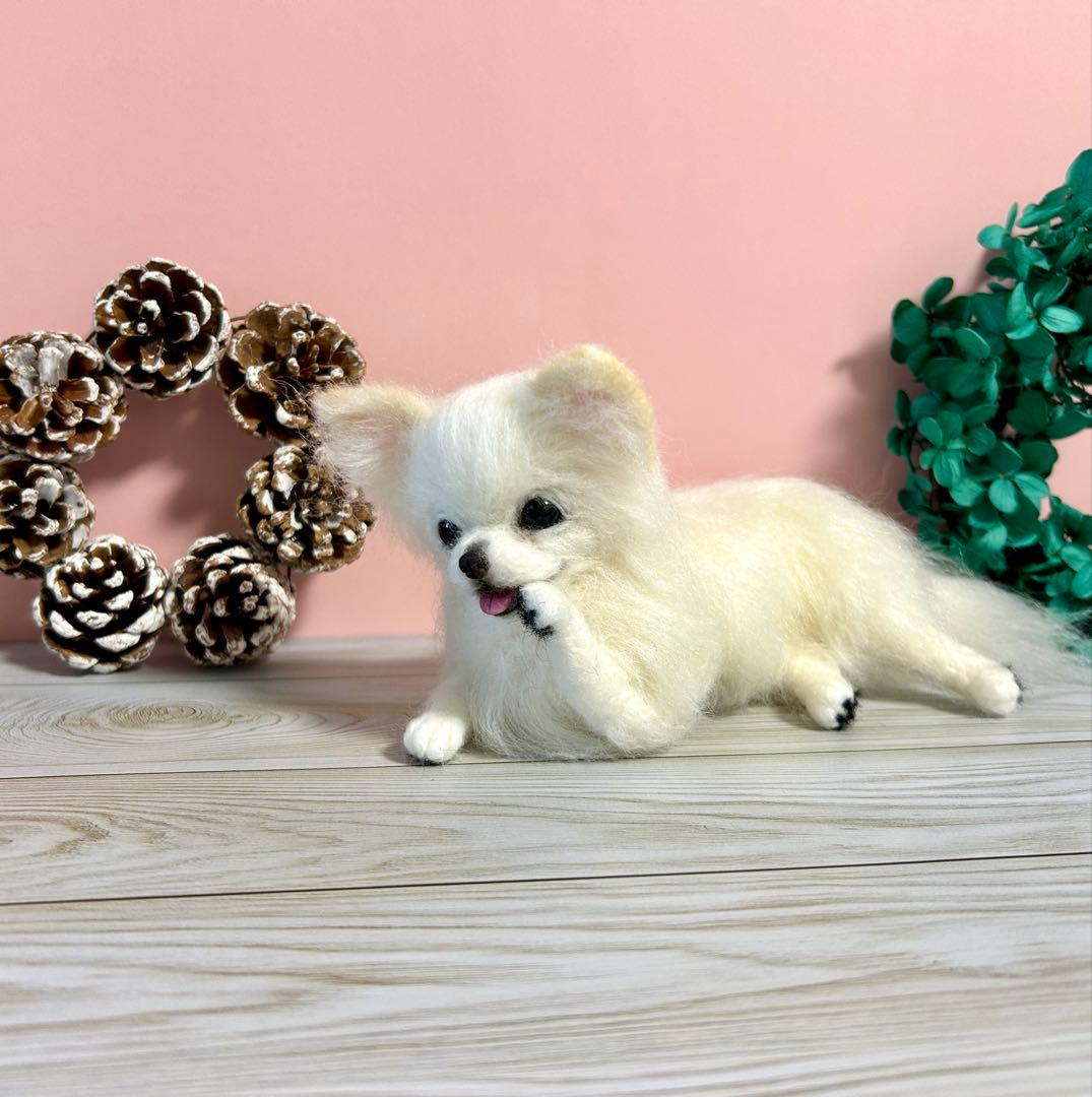 羊毛フェルト 毛づくろいチワワちゃん 10