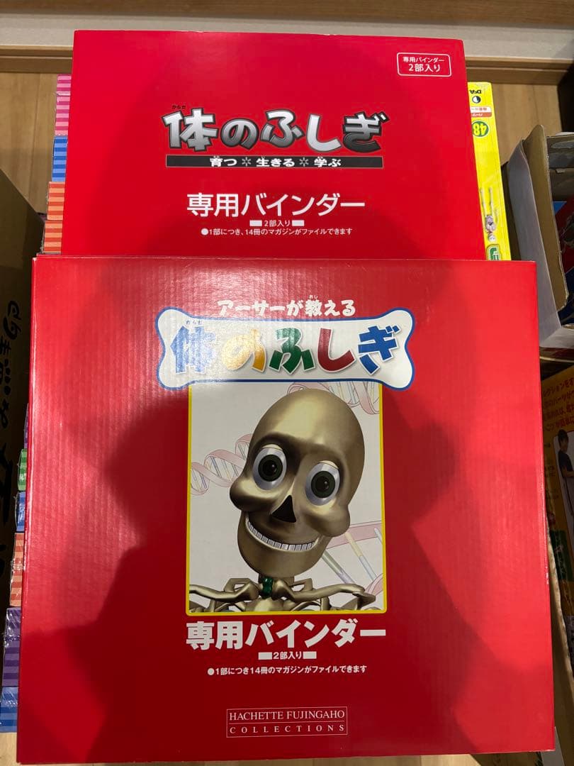 最終値下げ❗️アーサー 人体模型 セット 101個 バインダー14冊付き
